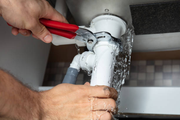 Best Flood restoration services  in Gray, TN