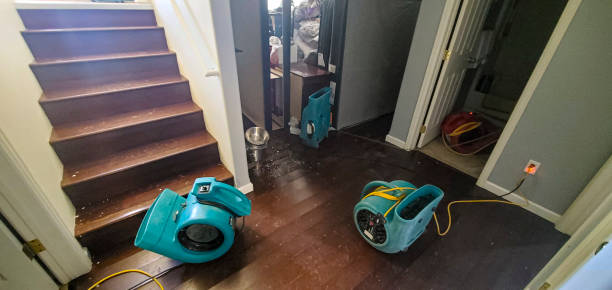 Trusted Gray, TN Water damage restoration Experts