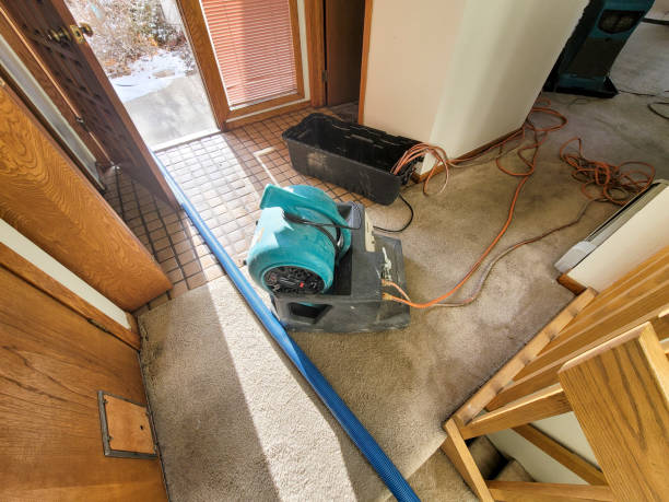 Best Water damage restoration experts  in Gray, TN