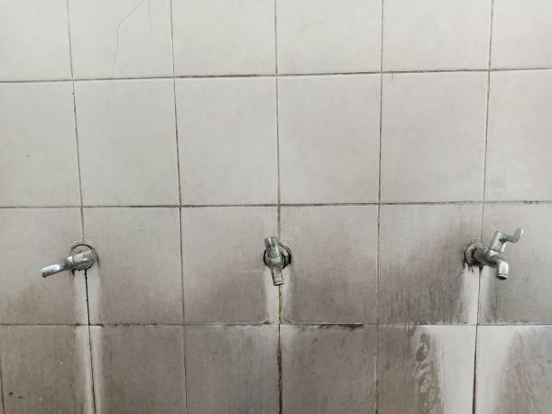 Best Mold removal after water damage  in Gray, TN