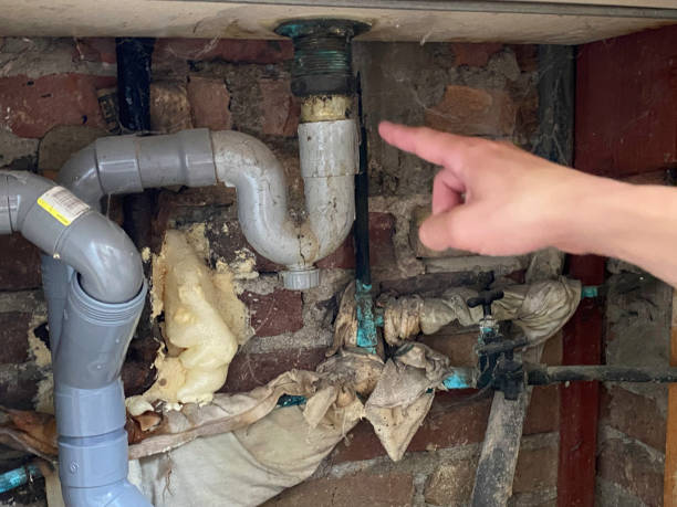 Best Sewage cleanup and water damage restoration  in Gray, TN