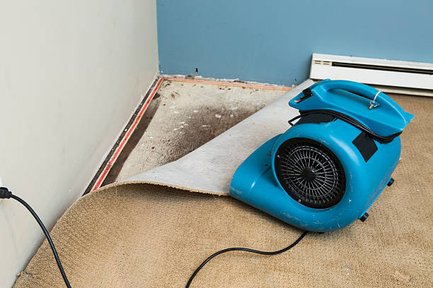 Best Commercial water damage restoration  in Gray, TN